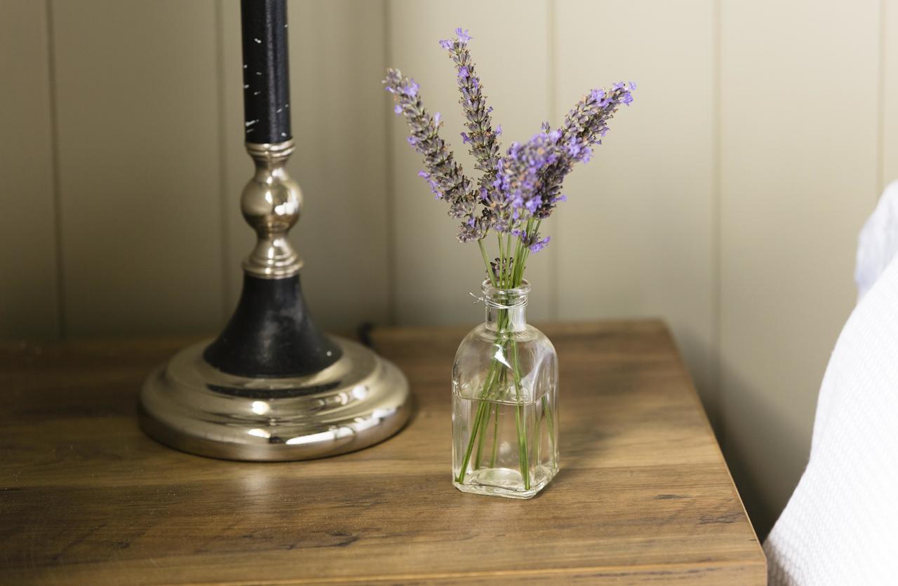 Angus Road Barn Villa Cambridge Dış mekan fotoğraf
